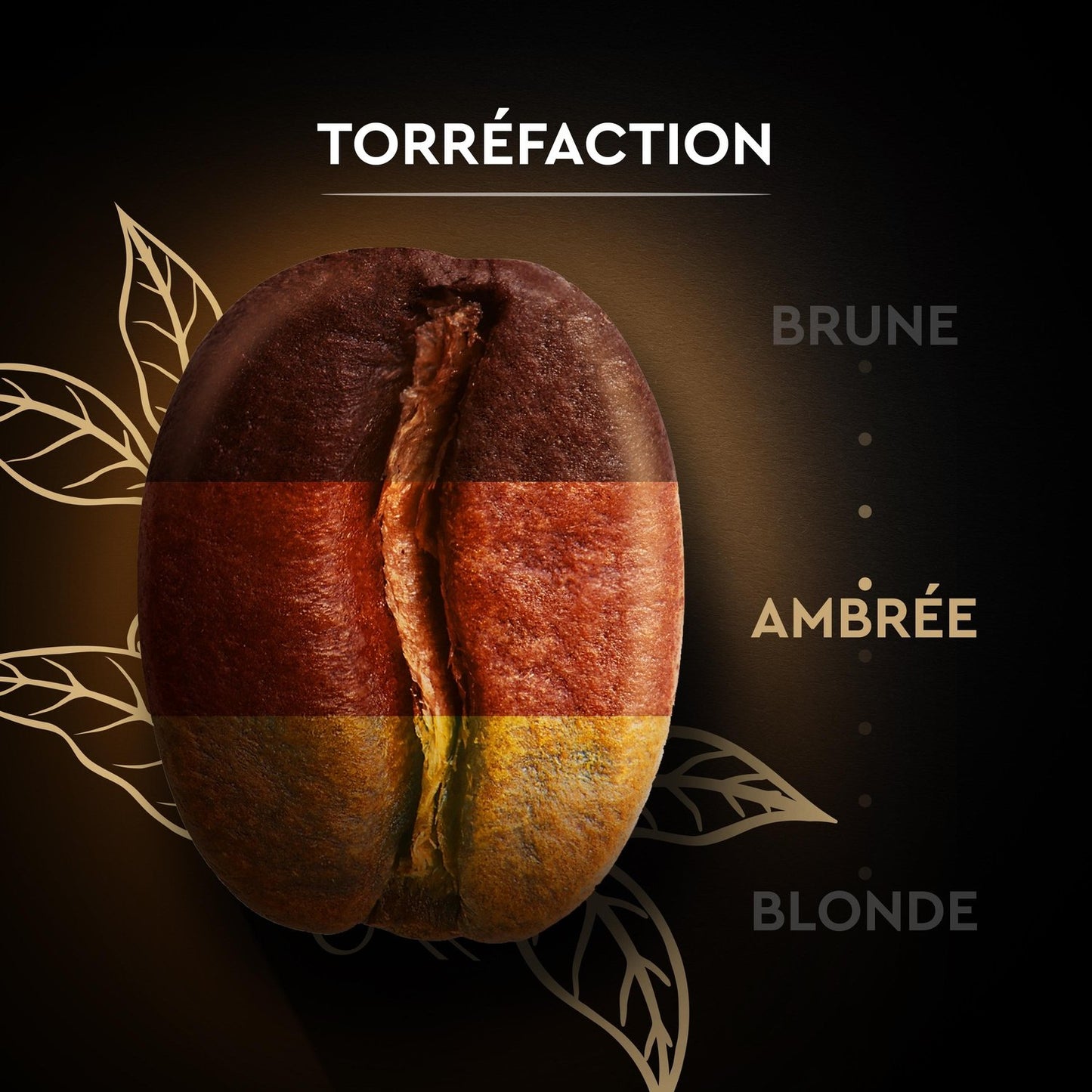 Café en Grains 100% Arabica Intensité 7 CARTE NOIRE