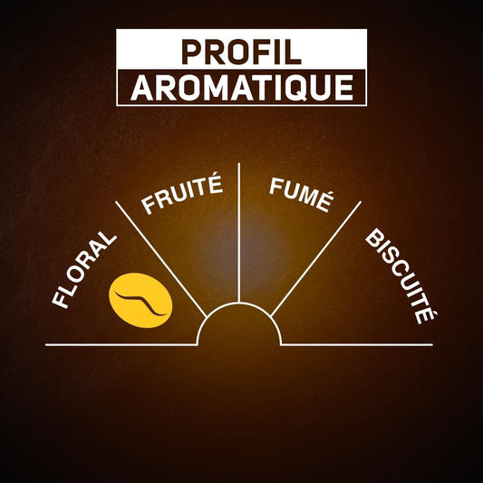 Classic No. 5 100% Arabica Coffee Pods Compatible with Senseo BLACK CARD