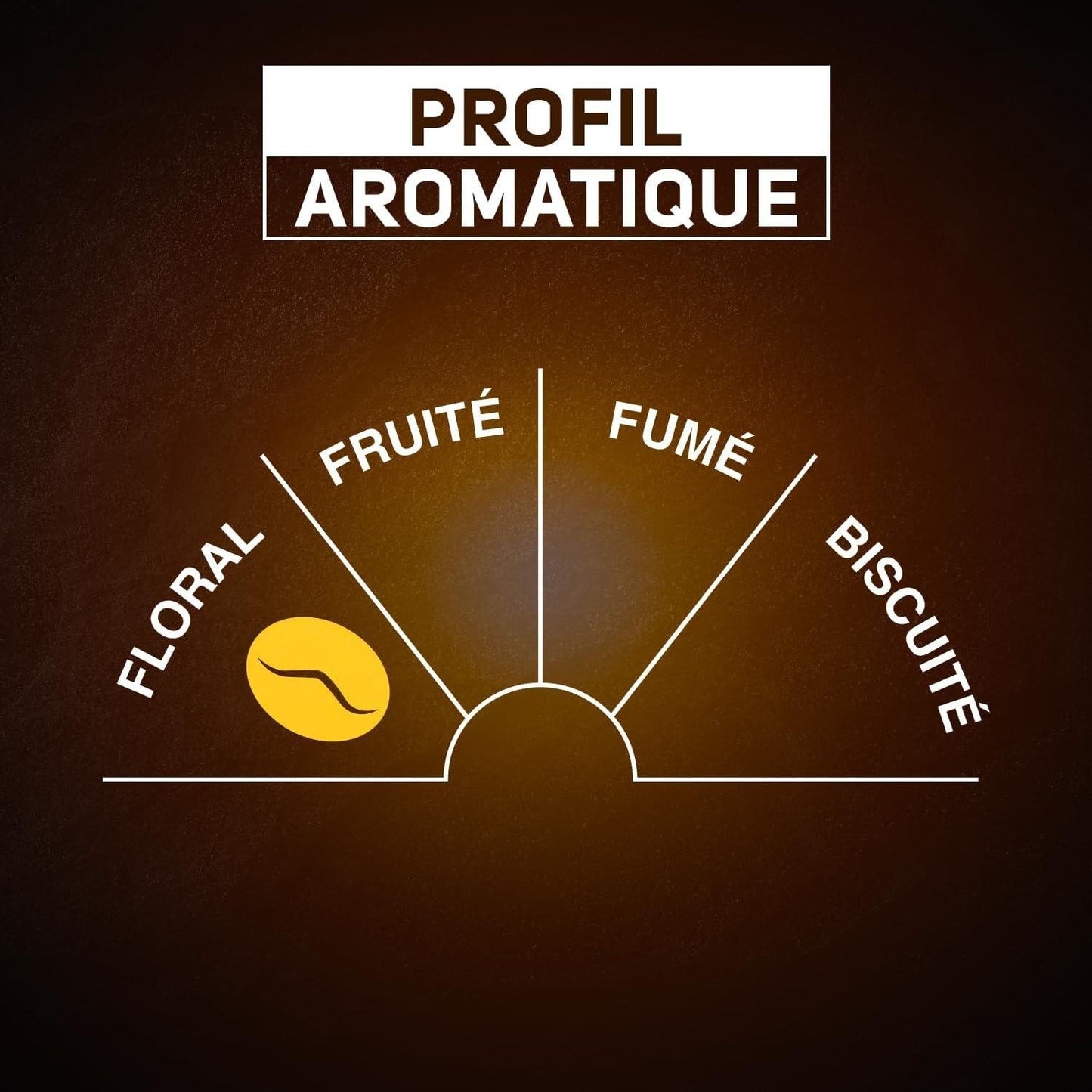 Café Dosettes Classique N°5 Compatible Senseo CARTE NOIRE