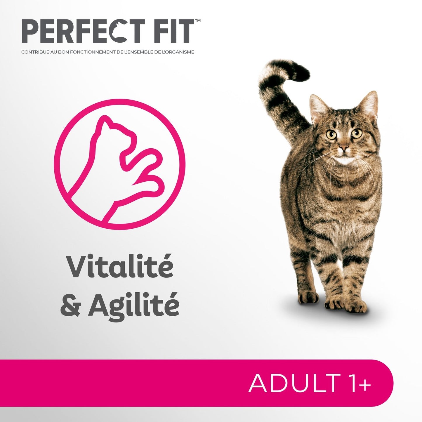 Pâtée pour Chat Adulte Stérilisé en Sauce Saumon Poisson Perfect Fit Total 5 PERFECT FIT