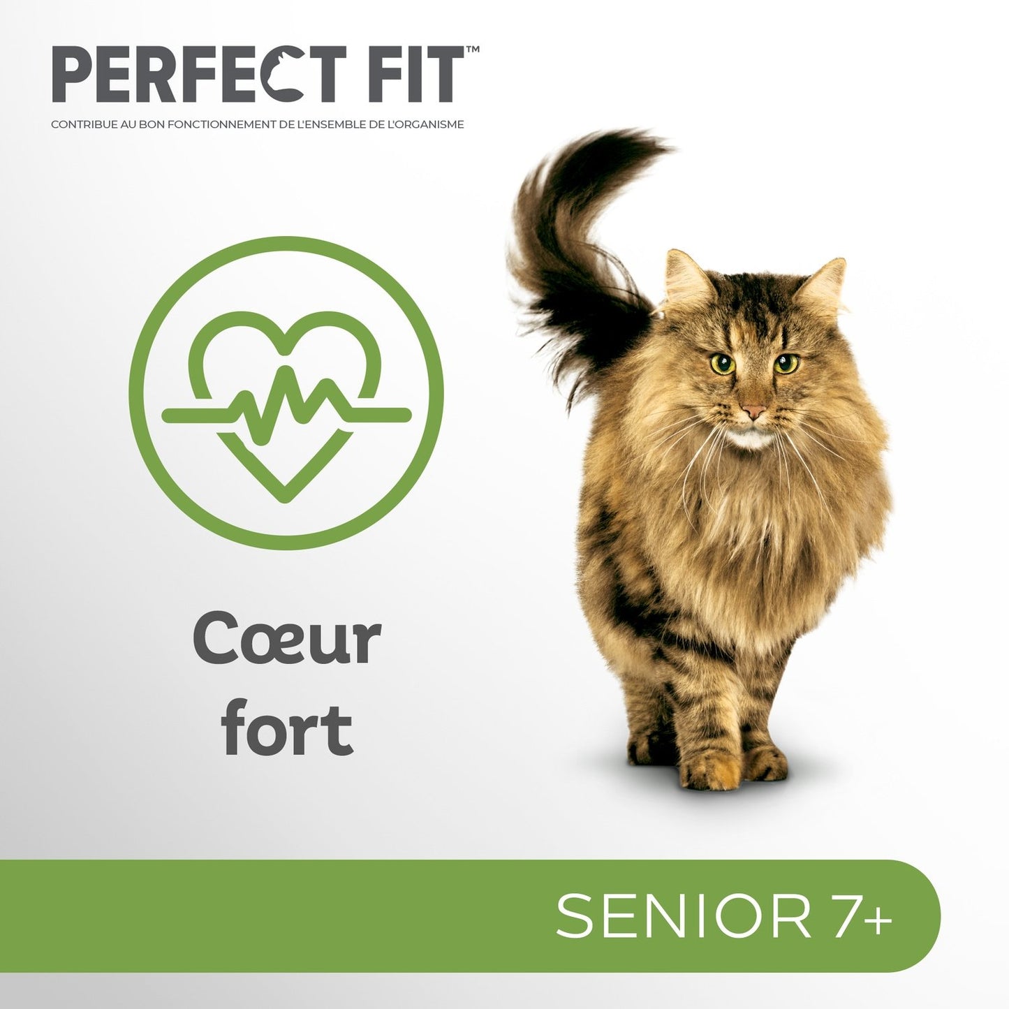Pâtée pour Chat Sénior Stérilisé Dinde Poisson Sauce Total 5 PERFECT FIT