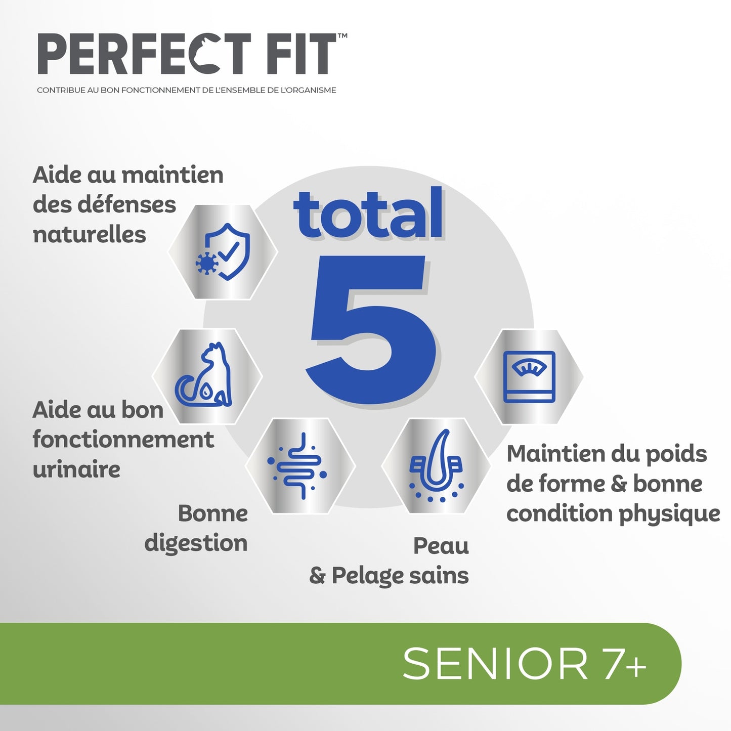 Pastete für ältere sterilisierte Katzen Truthahn Fischsauce Total 5 PERFECT FIT