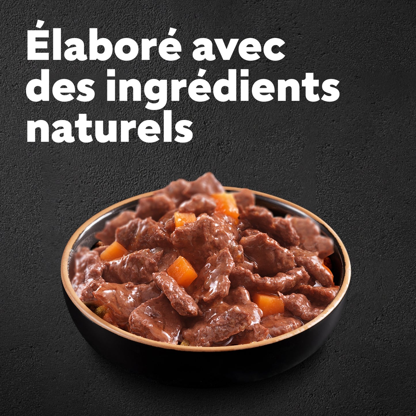 Pâtée pour Chien Adulte Bouchée en Sauce Boeuf Poulet Agneau Dinde CESAR