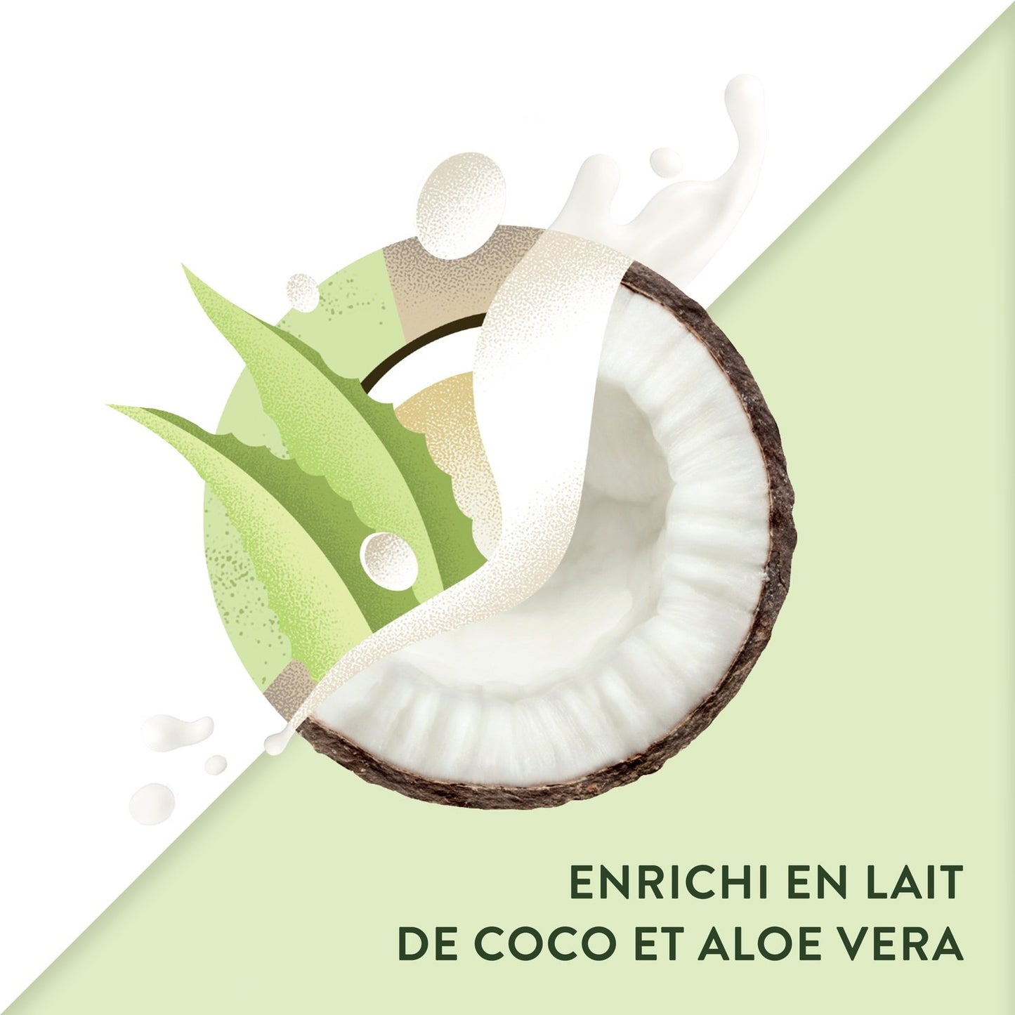 TIMOTEI Silicone-Free Moisturizing Shampoo for Normal to Dry Hair with Coconut Milk and Aloe Vera