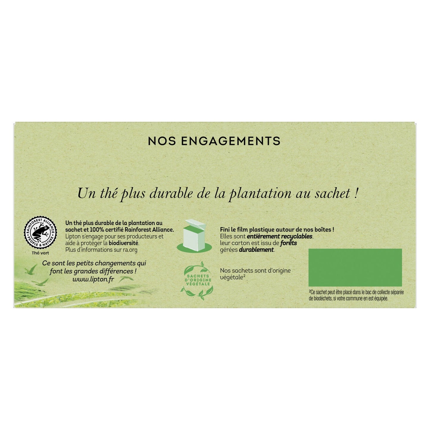 Thé Vert Menthe LIPTON