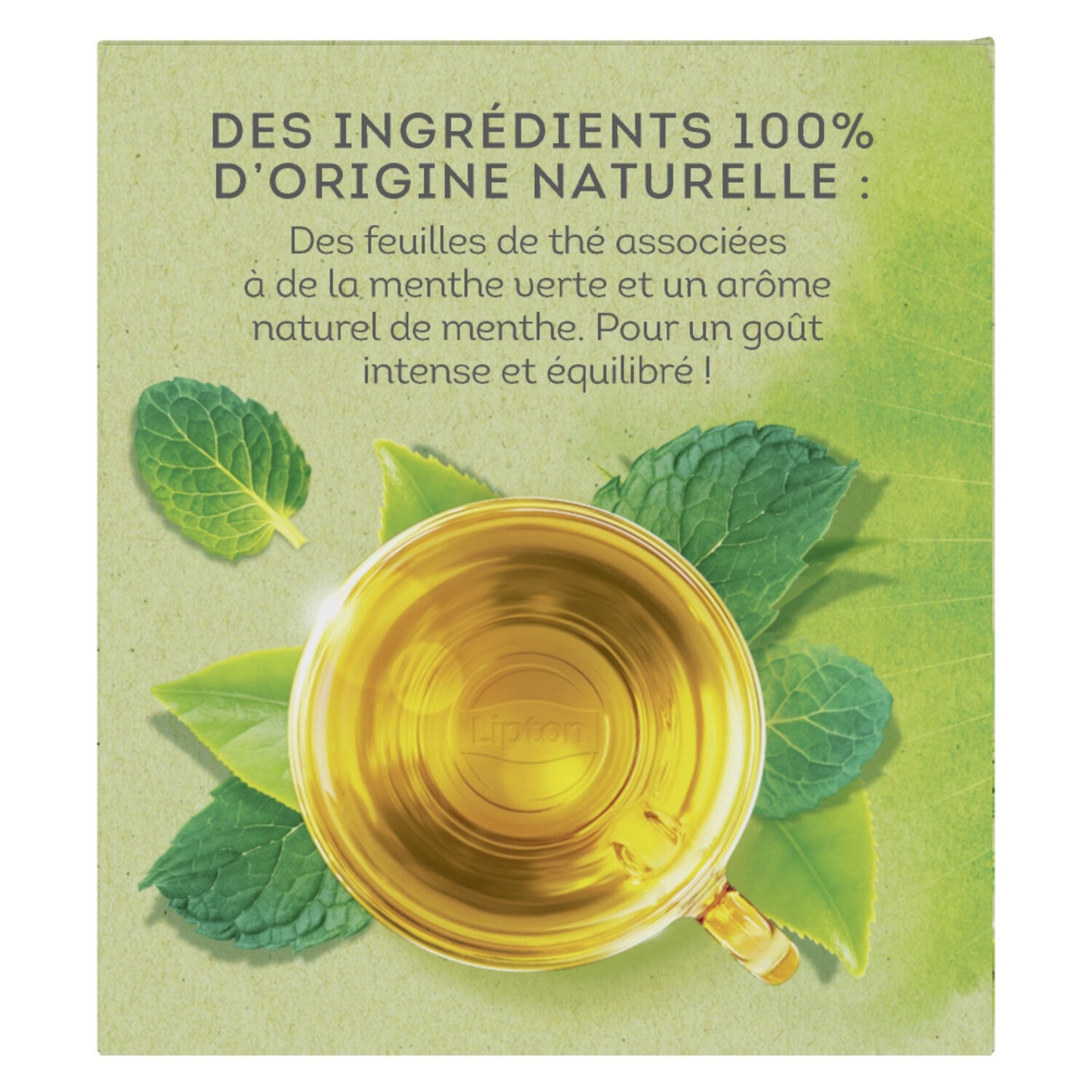 Thé Vert Menthe LIPTON