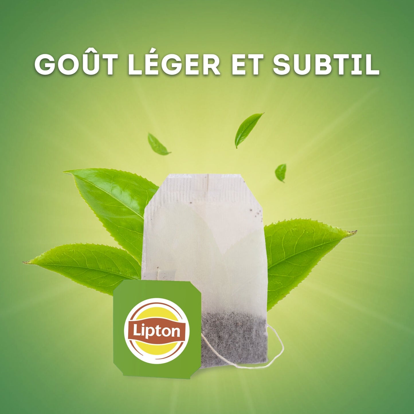 Thé Vert Classique LIPTON