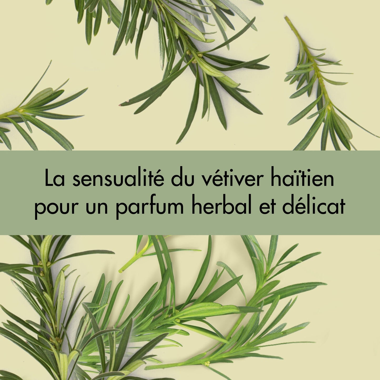 Shampoing pour Cheveux Légers et Purifiés au Romarin et Vetiver Love Beauty & PLANET