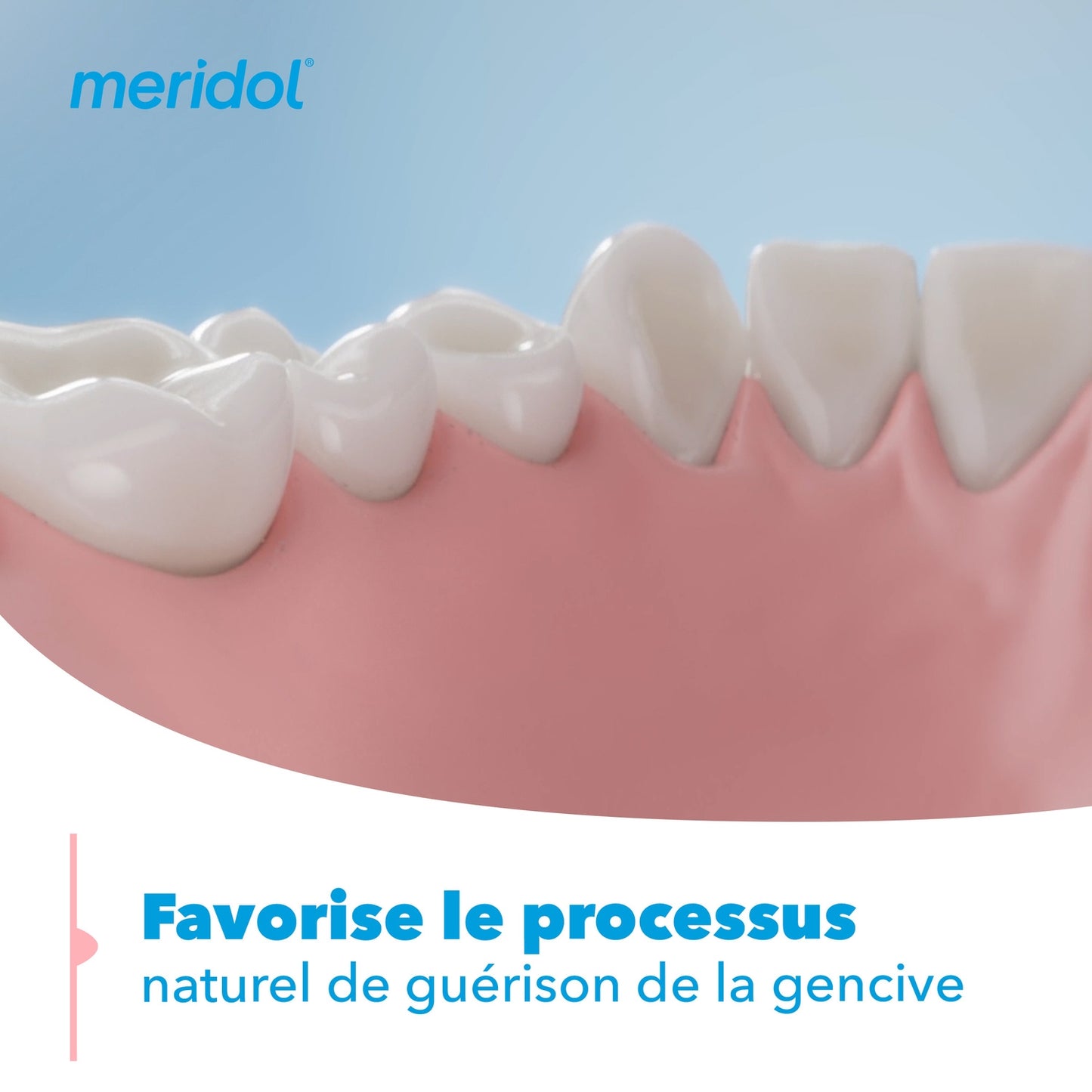 MERIDOL Expert Zahnpasta für empfindliches Zahnfleisch