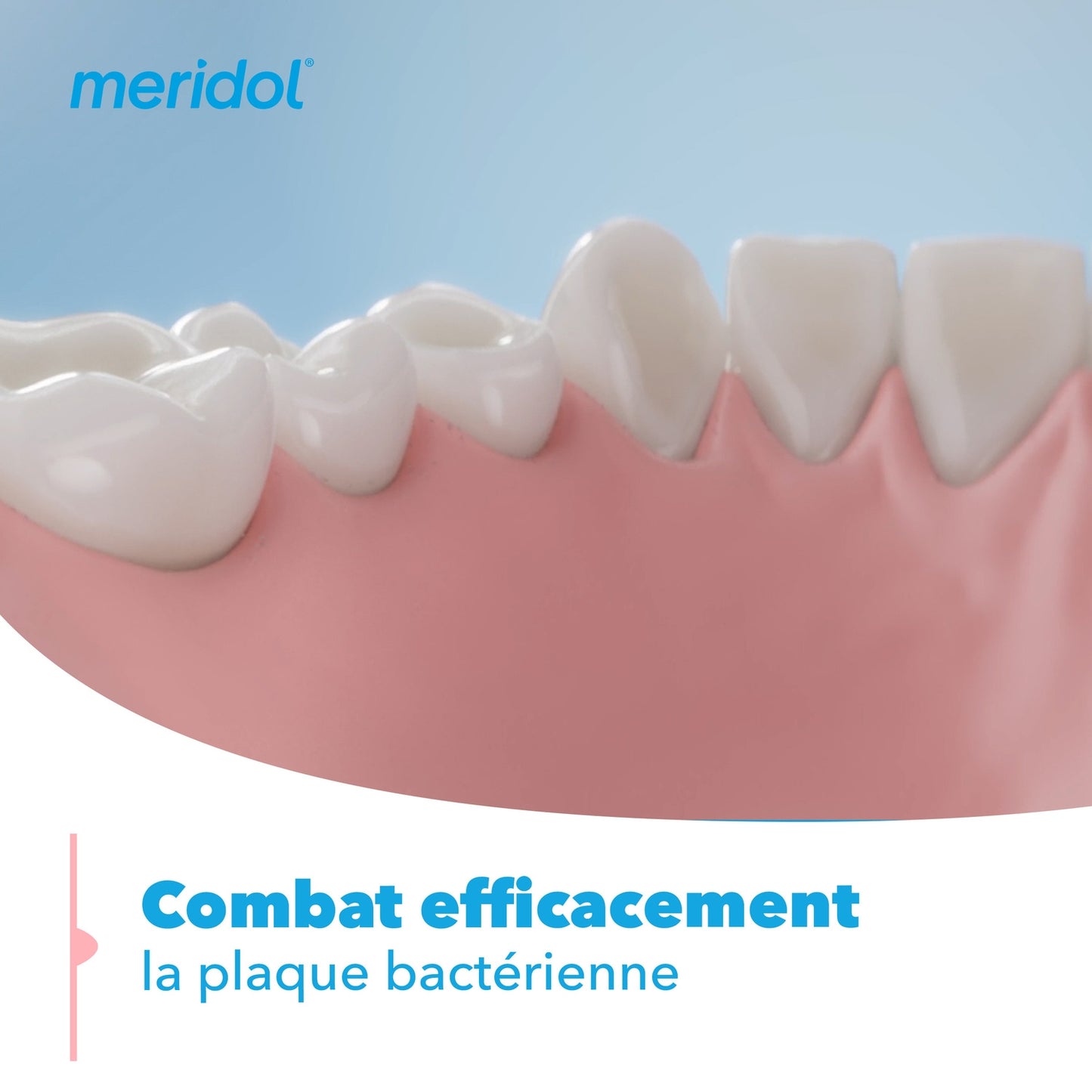 Dentifrice Soin Complet Gencives et Dents Sensibles Action Anti-plaque MERIDOL