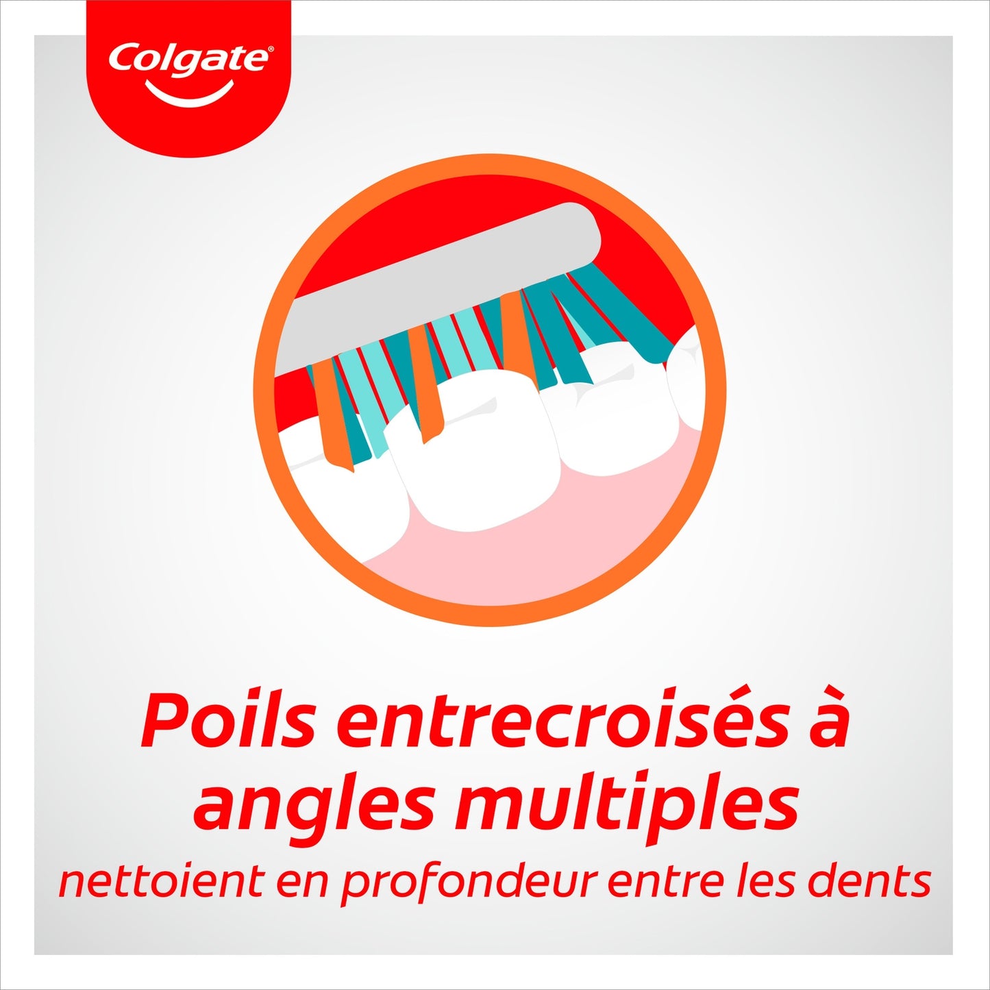 Brosse à Dents Médium Interdentaire Zig Zag COLGATE