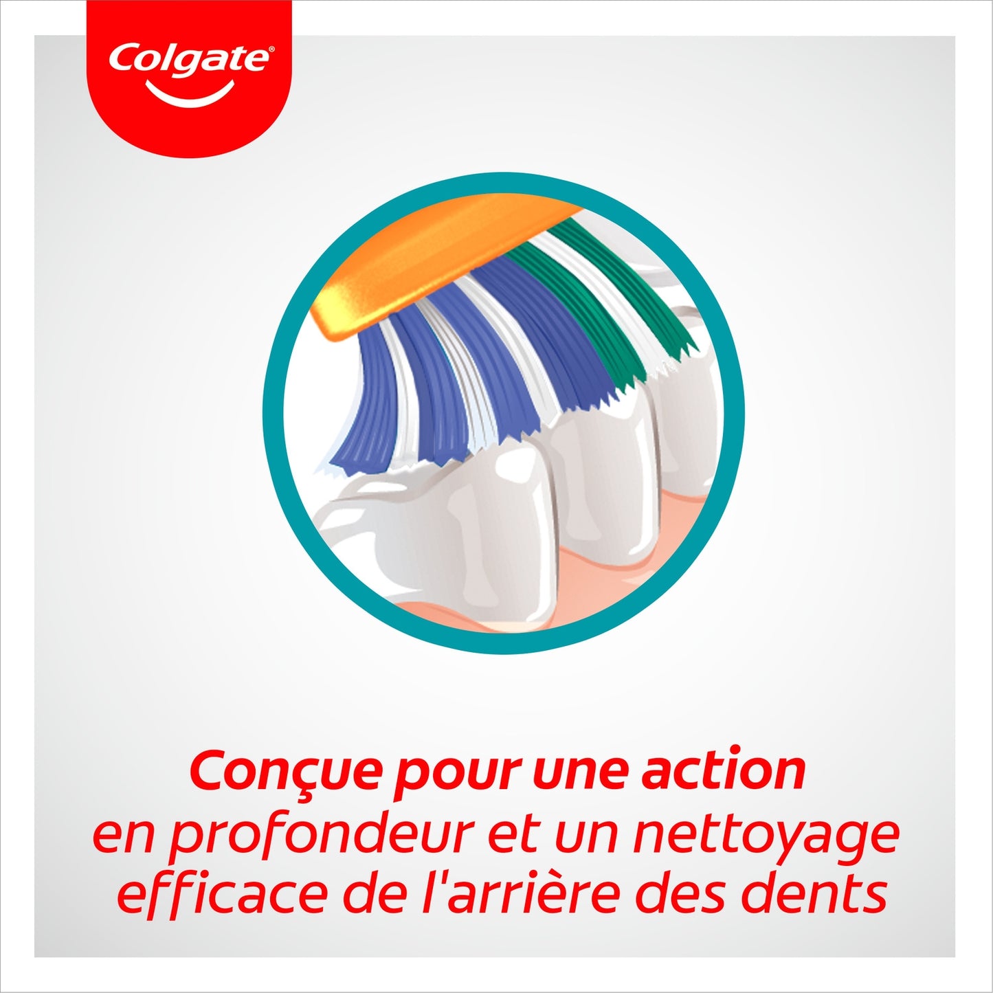 Brosse à Dents Triple Action Médium COLGATE