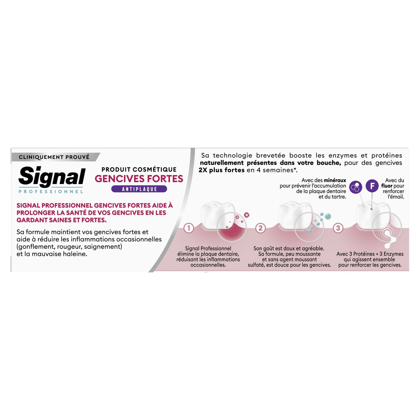 SIGNAL Strong Gum Anti-Plaque Zahnpasta
