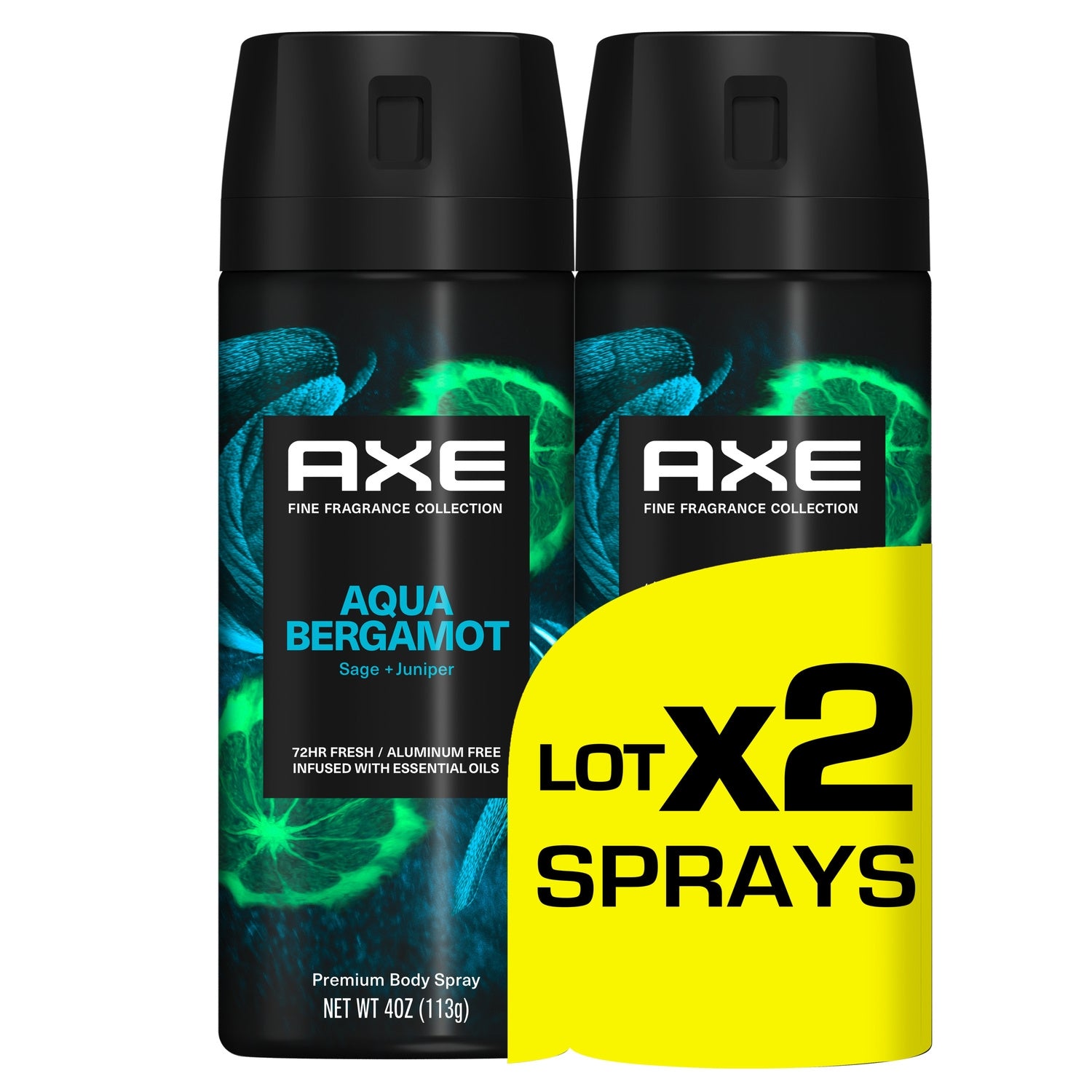 Deodorant-Spray für Männer Aqua Bergamotte AXE – La Famille à Table!