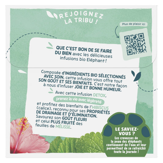 Infusion Détox Bio ELEPHANT