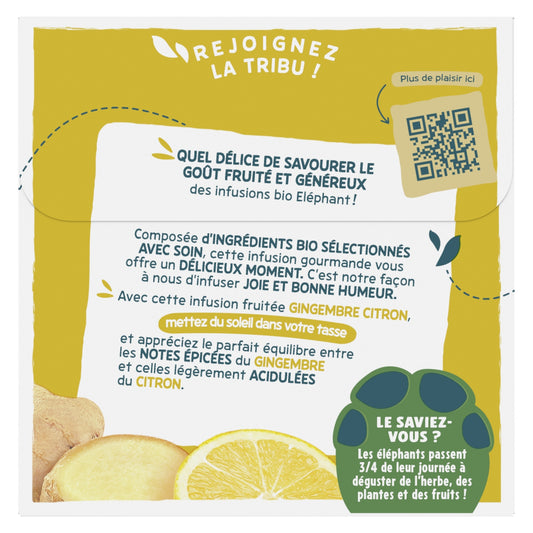 Infusion Gingembre Citron Bio ELEPHANT