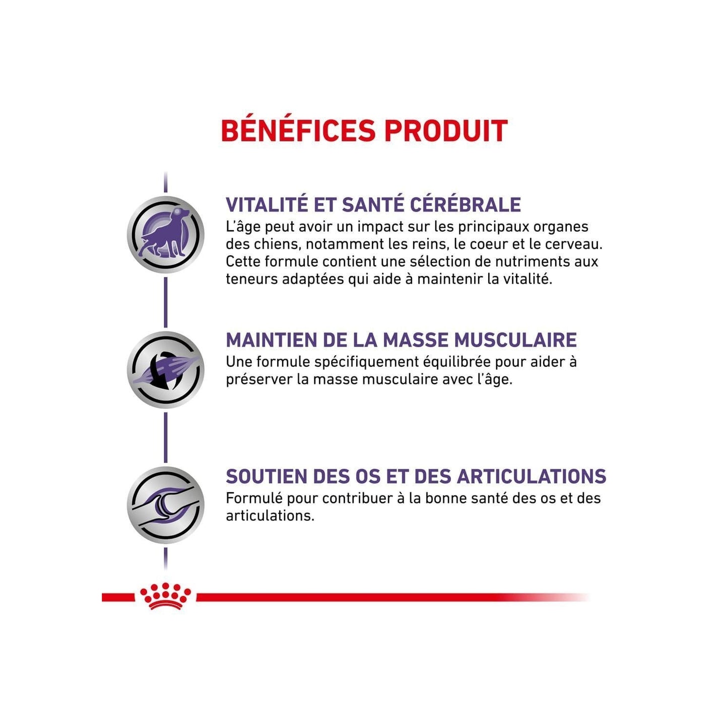 Croquettes pour Chien Large Mature Consult Expert ROYAL CANIN