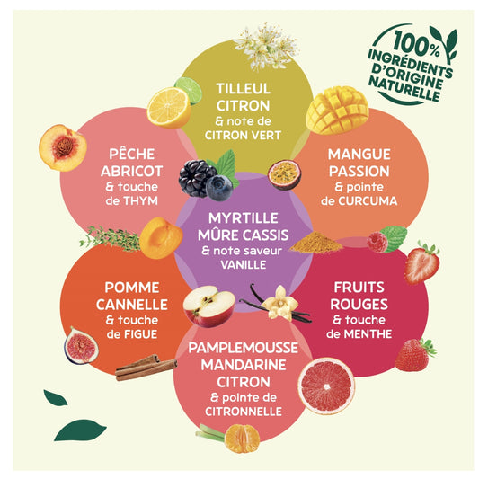 Infusion Pomme Cannelle ELEPHANT