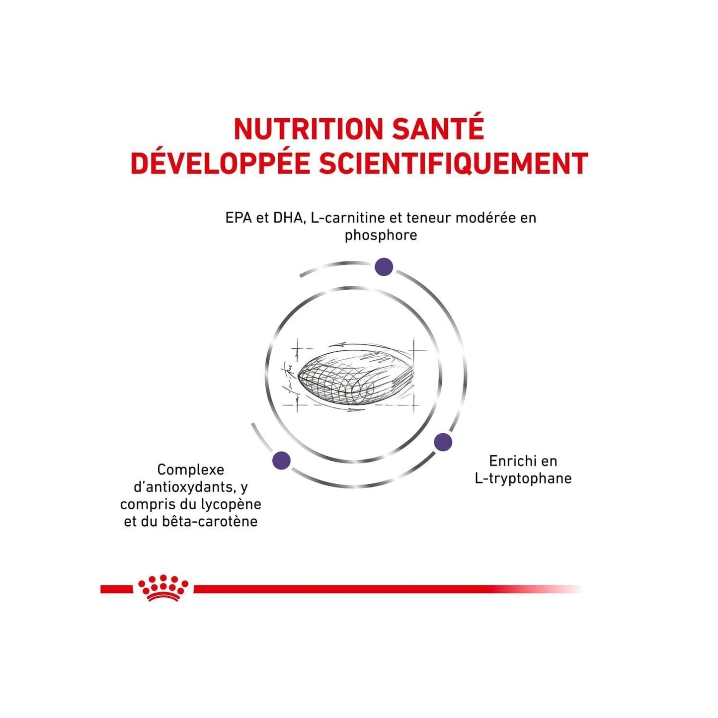 Croquettes pour Chien Large Mature Consult Expert ROYAL CANIN