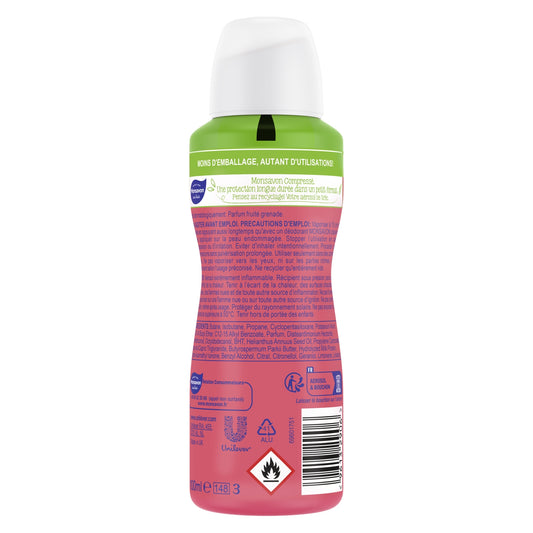 MONSAVON Antibacterial Compressed Spray Deodorant Alum Stone