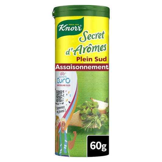 KNORR Plein Sud Secret Flavor Powder Seasoning