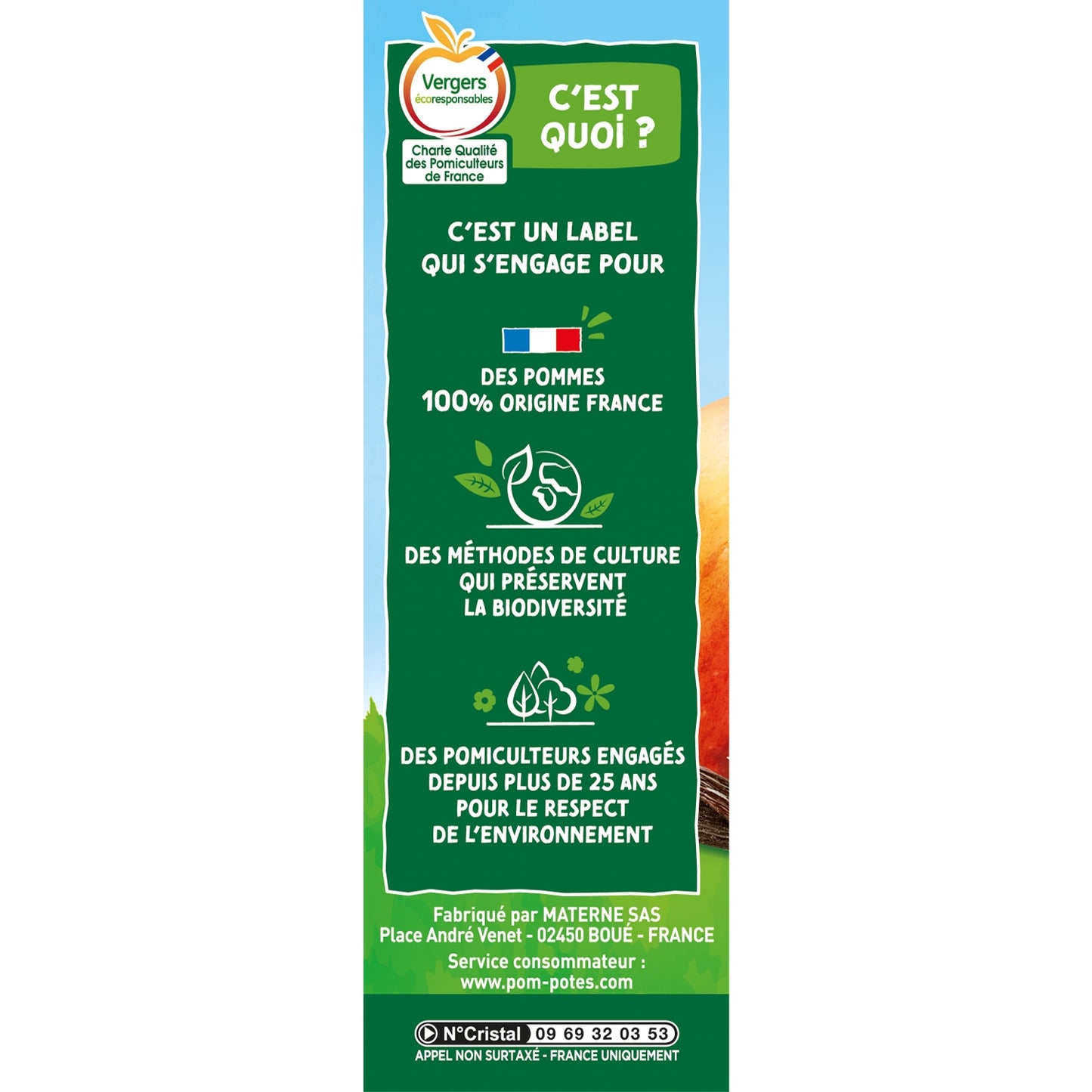 Compotes Compotes Gourdes SSA Pomme Vanille 4x90g POM'POTES 