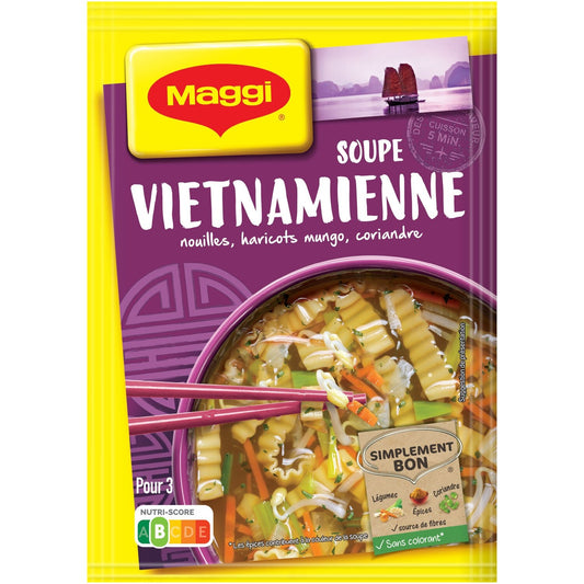 Soupe Déshydratée Nouilles Soja Coriandre MAGGI