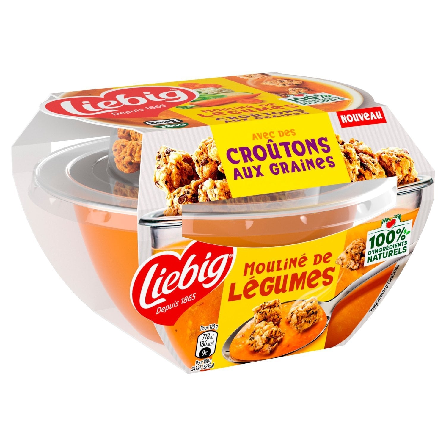 Soupe Mouliné de Légumes avec Croutons aux Grains LIEBIG 