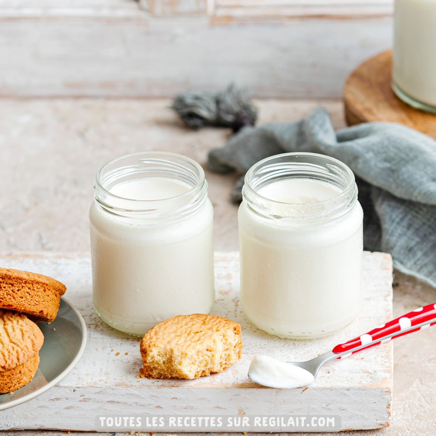 REGILAIT Skimmed Powdered Milk