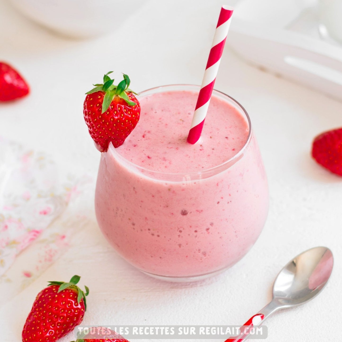 REGILAIT Skimmed Powdered Milk