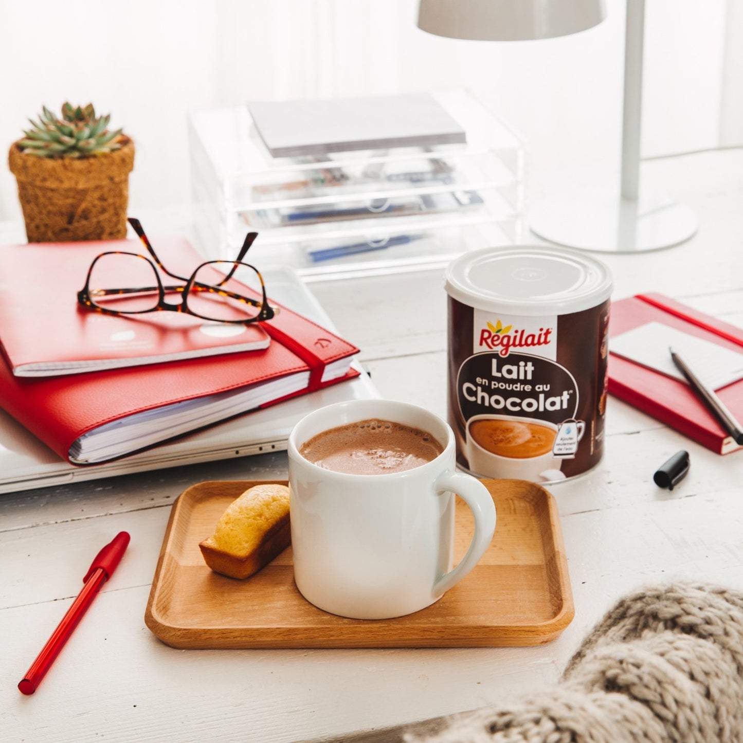 REGILAIT Chocolate Powdered Milk
