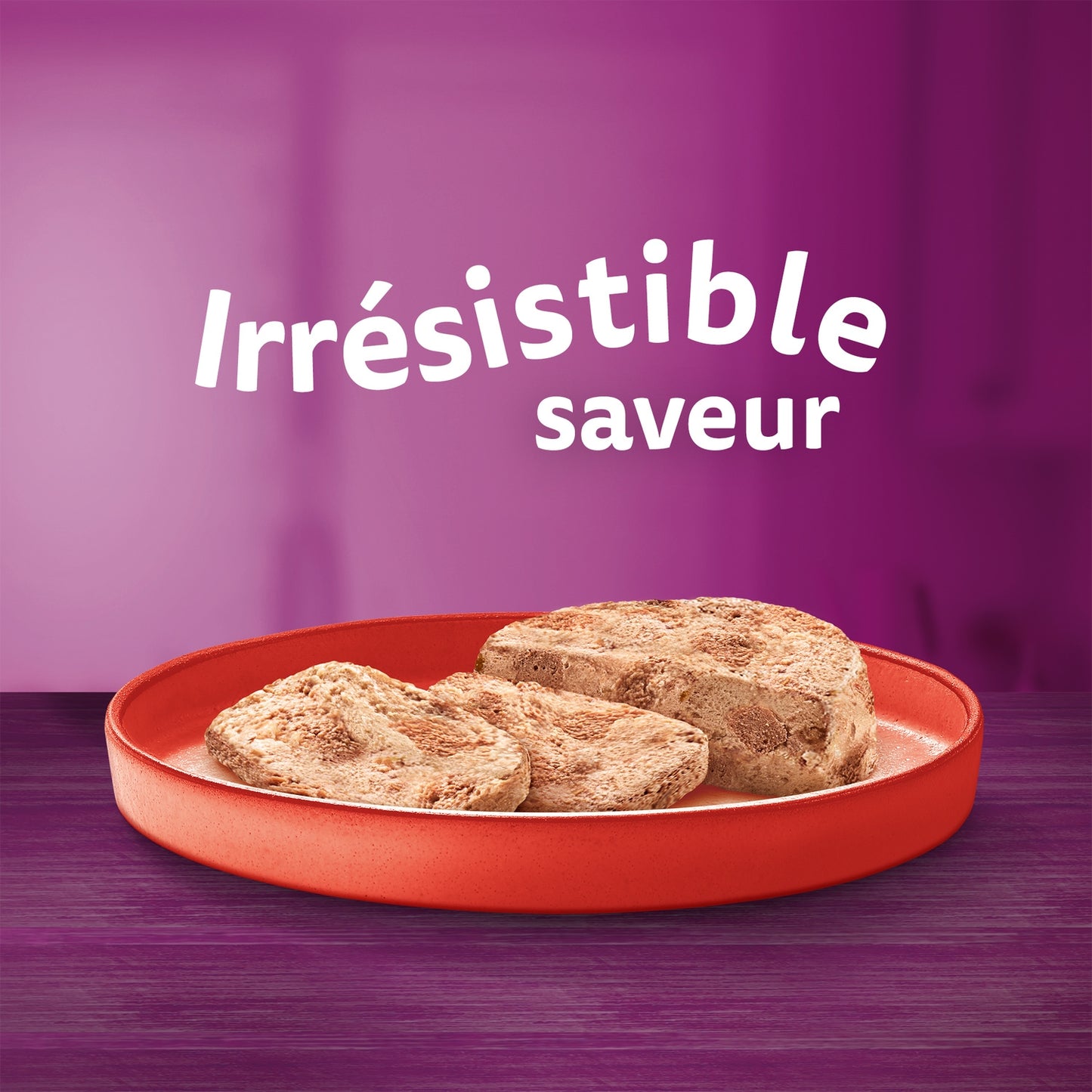 Pâtée pour Chat Adulte en Terrine Boeuf Poulet Thon Agneau WHISKAS 