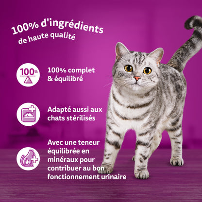 Pâtée pour Chat Adulte en Terrine Boeuf Poulet Thon Agneau WHISKAS 