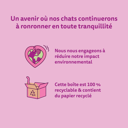 Pâtée pour Chat Adulte en Terrine Boeuf Poulet Thon Agneau WHISKAS 