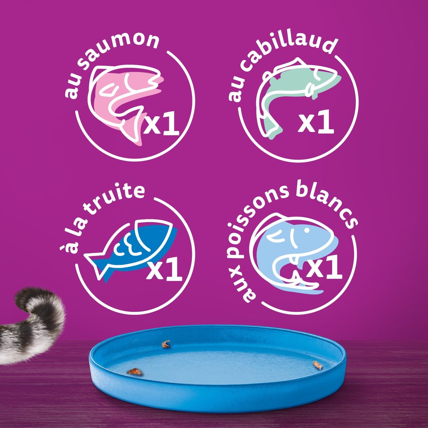 Pâtée pour Chat Adulte en Gelée Saumon Thon Truite Poisson Blanc la Carte du Pêcheur WHISKAS