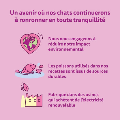 Pâtée pour Chat Adulte en Gelée Saumon Thon Truite Poisson Blanc la Carte du Pêcheur WHISKAS