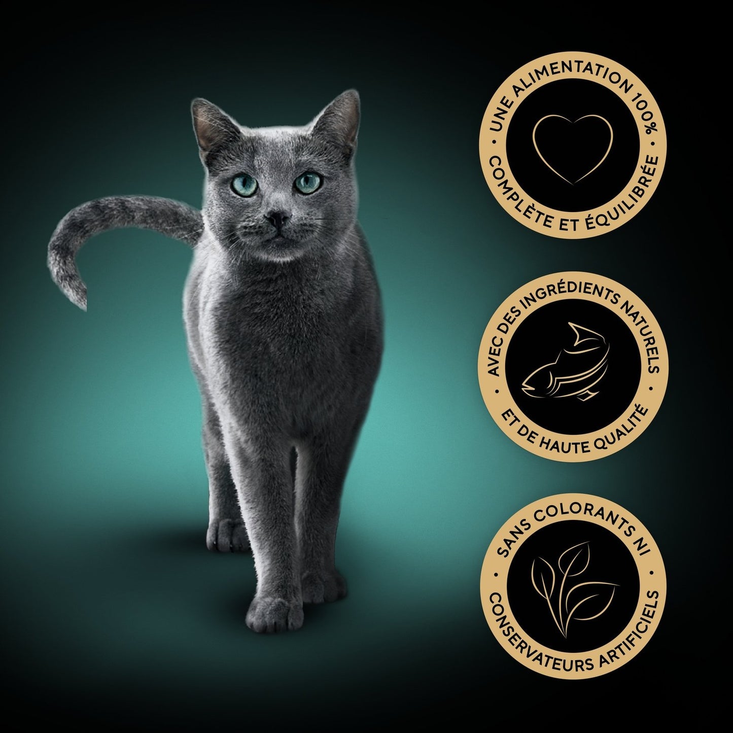 Pâtée pour Chat Adulte Mini Filets en Sauce Sélection Poissons Pêche Durable Msc SHEBA