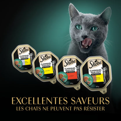 Pâtée pour Chat Adulte en Terrine Canard Poulet Boeuf Jambon Sélection du Boucher SHEBA
