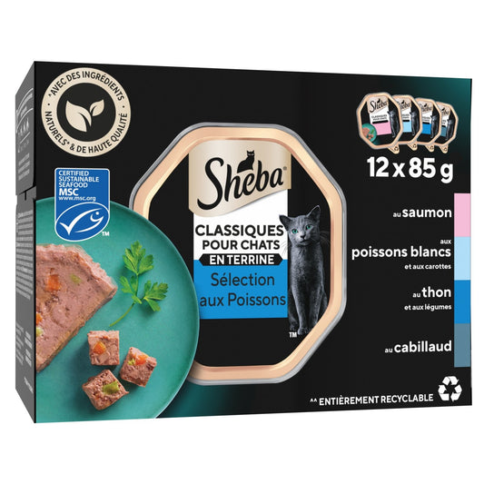 Pâtée pour Chat Adulte en Terrine Saumon Thon Cabillaud Océan SHEBA la boîte de 12 barquettes