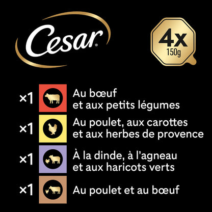 CESAR Adult Dog Food with Chicken, Beef, Turkey &amp; Lamb