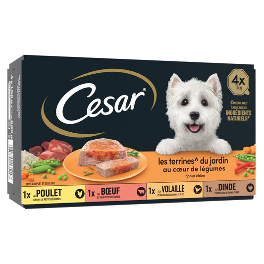 Pâtée pour Chien Adulte Terrine Poulet Boeuf Volaille Dinde Légumes les Terrines du Jardin CESAR la boîte de 4 barquettes
