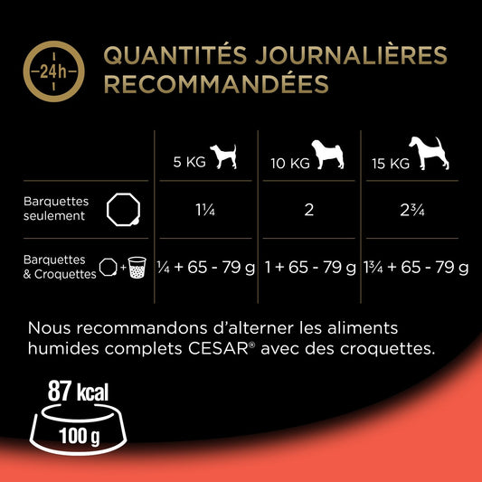 Pâtée pour Chien Adulte Terrine Veau Carottes CESAR