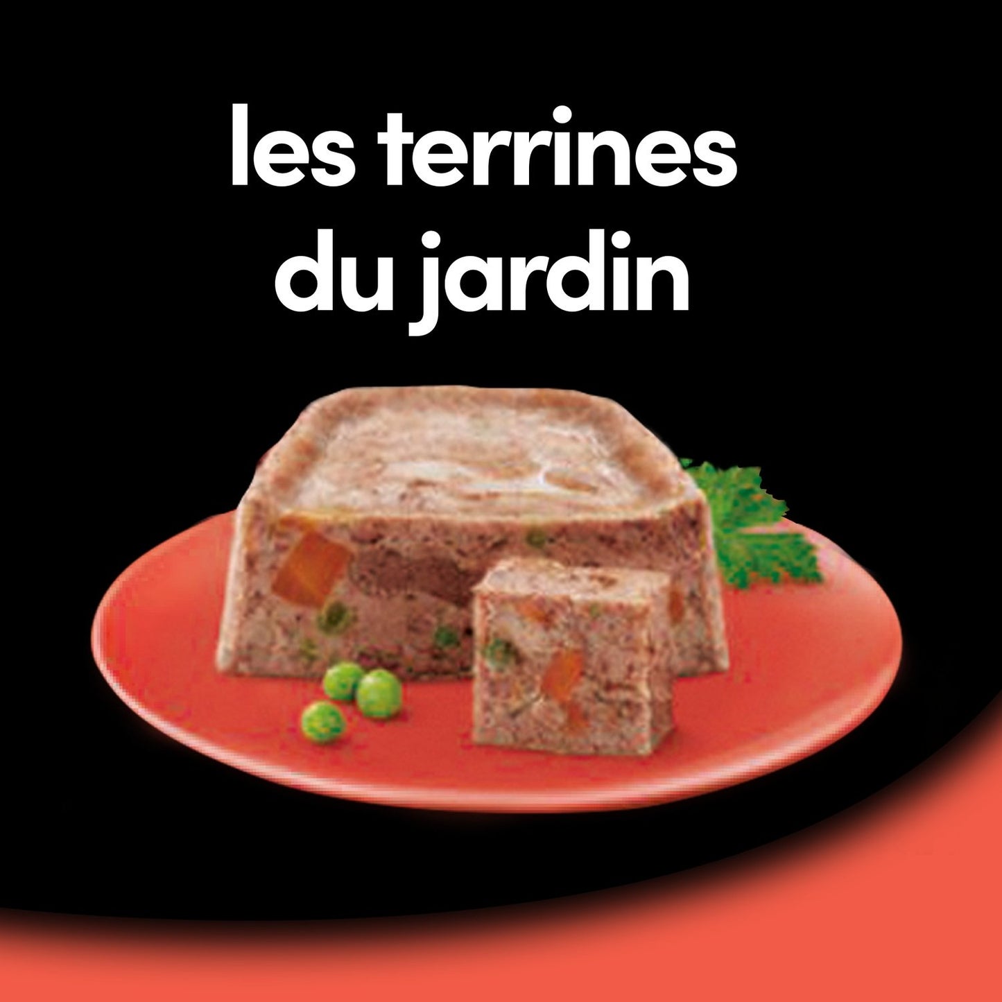 Pâtée pour Chien Adulte Terrine Veau Carottes CESAR