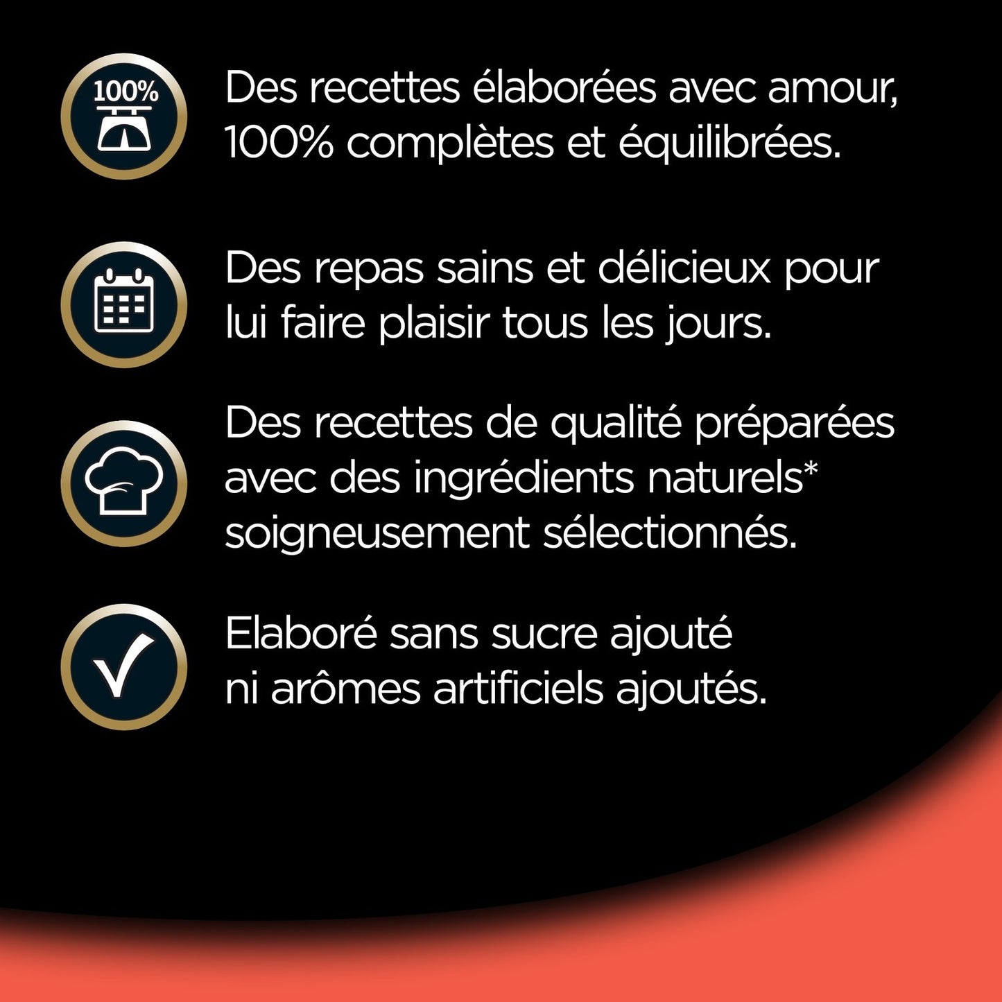 Pâtée pour Chien Adulte Terrine Veau Carottes CESAR