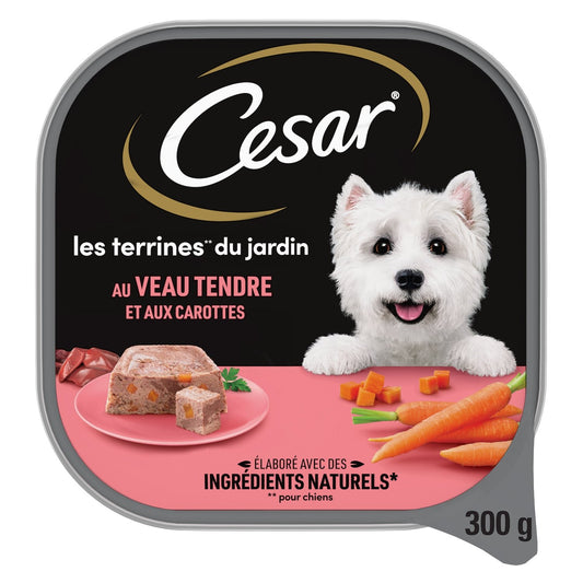 Pâtée pour Chien Adulte Terrine Veau Carottes CESAR la barquette de 300g