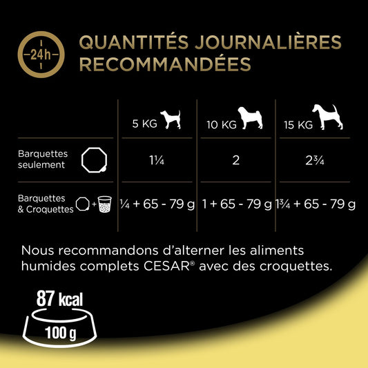Pâtée pour Chien Adulte Petit < 10kg Terrine Poulet CESAR