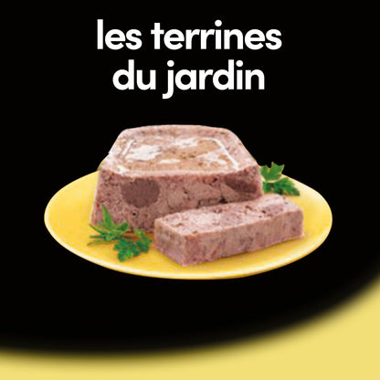 CESAR Chicken Terrine for Small Adult Dogs &lt; 10kg