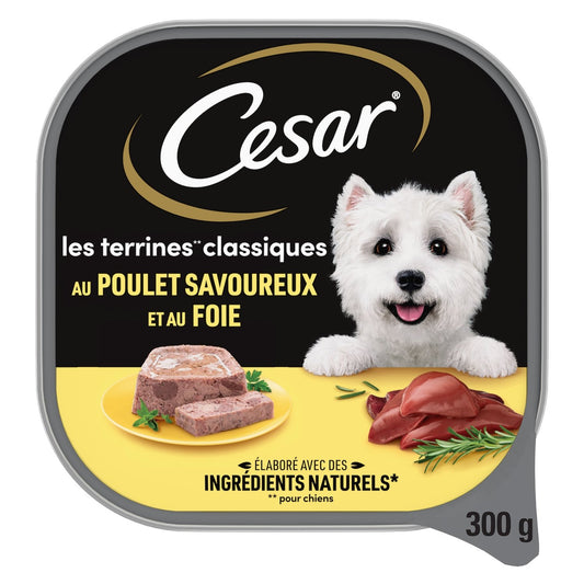 Pâtée pour Chien Adulte Petit < 10kg Terrine Poulet CESAR