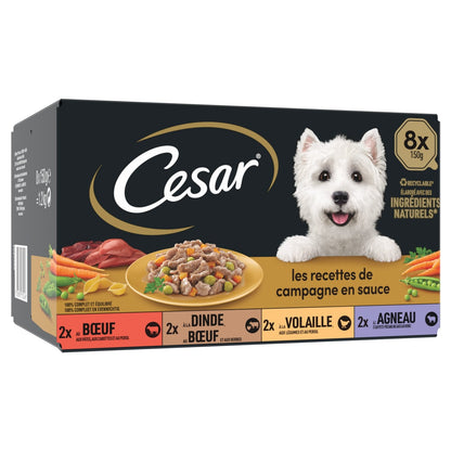 Pâtée pour Chien Adulte Volaille Boeuf Dinde Agneau Sauce Recettes de Campagne CESAR