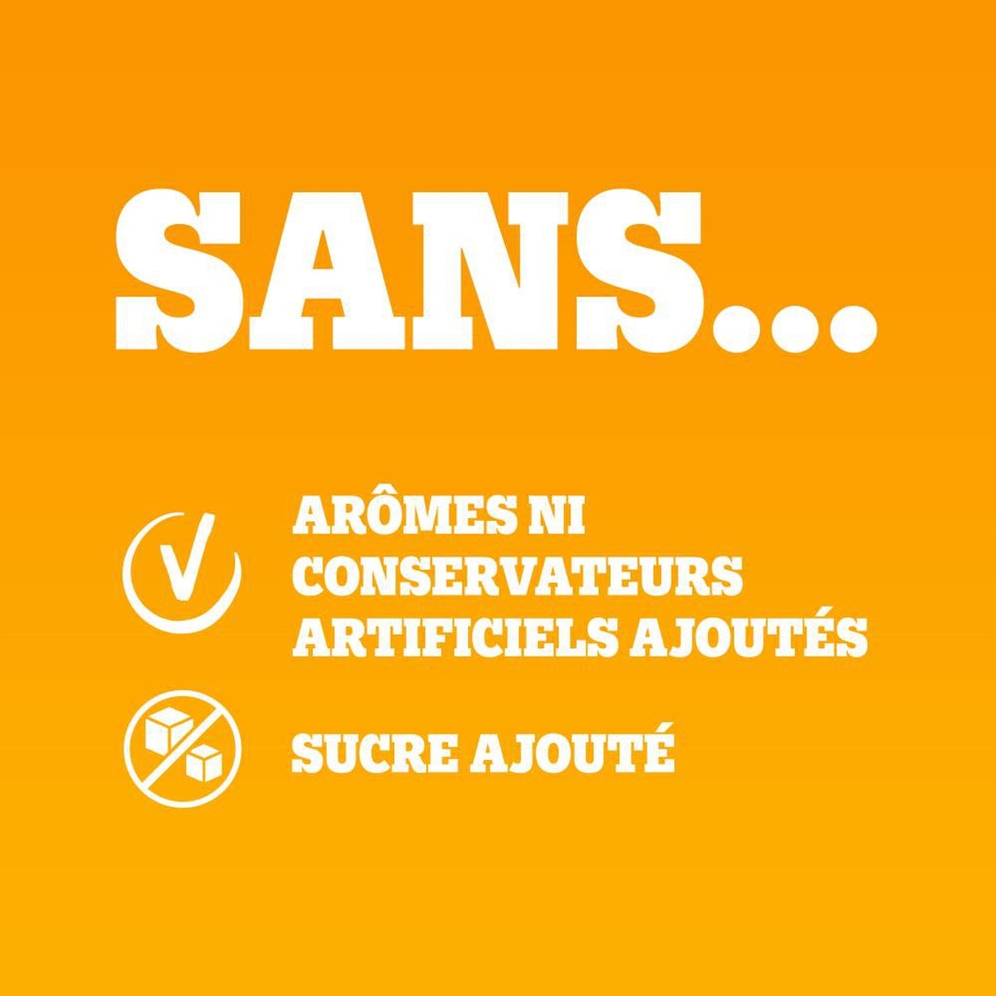 [ANTI-GASPILLAGE] Pâtée pour Chien Adulte en Sauce Boeuf Agneau Lapin Volaille PEDIGREE - Date de durabilité minimale : 28/02/2026